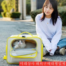 미래상사 고양이 외출가방 이동가방 산책가방 이동장 32493590-324389824, 노란색, 1개