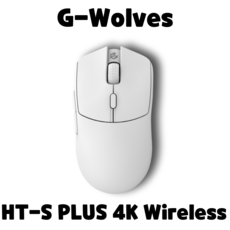 G-Wolves HT-S PLUS 4K 하티-S 49g 3399 초경량 게이밍 마우스, DHL EXPRESS(7-10days), 화이트