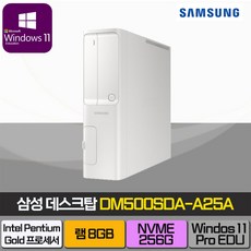 삼성전자 데스크탑 5 DM500SDA-A25A (펜티엄골드 G6405) + 무선키보드 + 무선마우스, WIN10 Pro, RAM 8GB, NVMe 256GB
