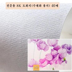 도화지수채화8절전문용40매용지 SN5-N1A 전문용 z517EA1, 옵션선택은>주문선택완료