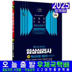 임상심리사 2급 1차 필기 문제집 교재 책 핵심유형 100제 한권으로끝내기 시대고시기획 2025