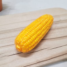 옥수수모형