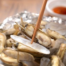국내산 순천만 맛조개 500g 20-25미 내외, 1개