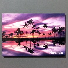 제주애퐁당마그넷