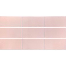 HS 비비드 로즈 도기질타일 무광 300X600, 1개