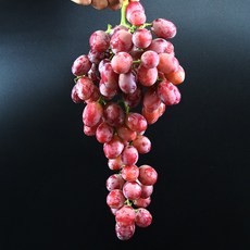 캔디하트포도