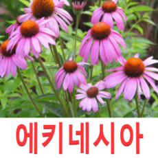 9cec255dd3b7305def6b037efbf20bf8ff05ad910a5cecc1655a674103c9.png