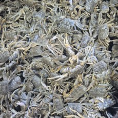 [푸드예찬] 자연산 순천만 급냉 칠게, 1개, 1kg