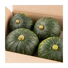 달콤포근 영양가득 미니단호박 5kg 10-20개, ONE COLOR, ONE SIZE