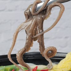 국내산 뻘에서 잡은 목포 산낙지 (대) 5마리, 5개, 대낙지