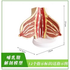 e24904cad6ada4dcfb3278032884fc72ab88439e6bc0fbc18f2286d323c4.jpg
