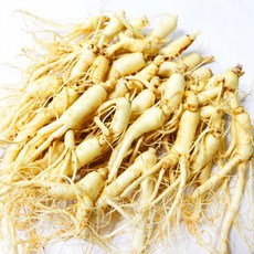 후금이네 가정용 햇 수삼 세척인삼, 700g 27-35뿌리, 1개