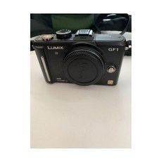 파나소닉 루믹스 DMC GF1