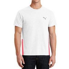 푸마기능성남성