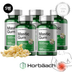[5병] 호바흐 매스틱 검 1500mg 100캡슐 효과 소화 건강 Mastic Gum, 1개, 기본