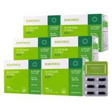 바디닥터 바디닥터스 포스파티딜세린 PS 60정 6개