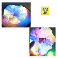 led곱창밴드