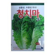 가을상추