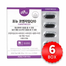 포뉴코큐텐 TOP01