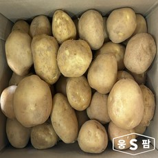 [온도씨]국내산 하우스 수미 햇 감자 10kg 왕특, 10kg (왕특), 1개