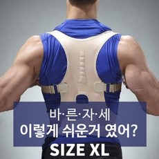 웰피아 바른자세 밴드 파워백 파워밴드 거북목 허리 직장인 학생 자세고정, 4분류