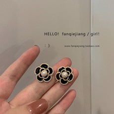 디디에두보진주