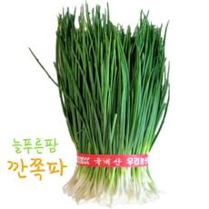 늘푸른팜 당진 산지직송 쪽파 깐쪽파, 1개, 3kg