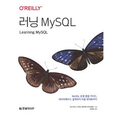 러닝 MySQL:MySQL 운영 종합 가이드 데이터베이스 설계부터 비용 최적화까지, 한빛미디어, 러닝 MySQL, 비니시우스 그리파(저),한빛미디어