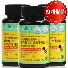 브라질 그린 프로폴리스 비타민C 아연, 3개