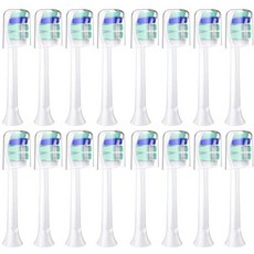 필립스칫솔모c2