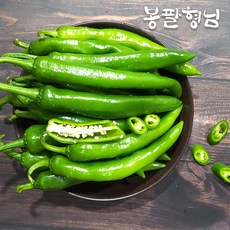 해남고추