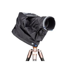 씽크탱크포토이머전시레인