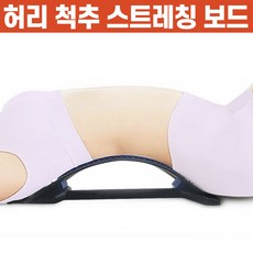 상상공간 집에서도 편안하게 허리 척추 스트레칭 기구 교정기 보드 등 목 경추 전신, 블루