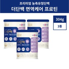 더단백 면역케어 프로틴 균형 단백질 파우더 농축유청단백 304g