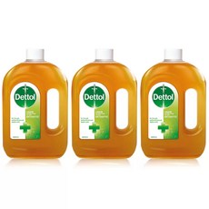 Dettol Antiseptic Liquid 데톨 액체 세정 750ml 3팩, 3개