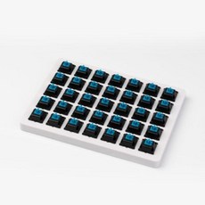 체리갈축스위치