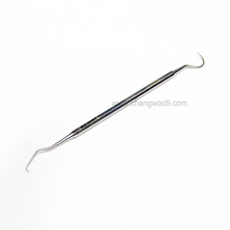 익스플로러치석제거