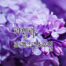 [허니솝] 프래그런스 오일 20ml 50ml 100ml 비누만들기재료 화장품DIY, 03. 라일락f.o x 100ml - 허니솝