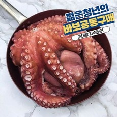 르베르웨건공동구매