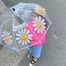 데이지투명우산