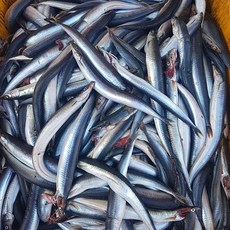 국내산 생물/급랭 랜덤 양미리 1kg 15-25미내외, 단품