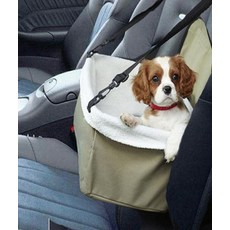 바구니카시트리안솔로