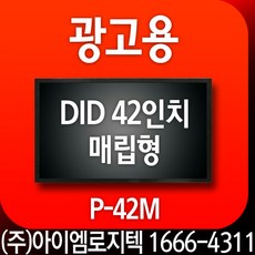 42인치did