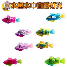 반려동물캣물고기수족관