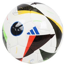 아디다스 풋살공 독일 유로 2024 PRO 살라 Futsal ball