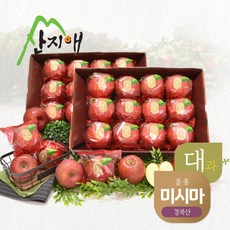 산지애 씻어나온 꿀사과 3kg 2box (대과) / 경북산 미시마 당도선별, 2개