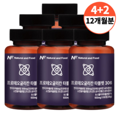 프로테오글리칸 연어코연골 추출물 콘드로이친 NNF 프로테오글리칸 타블렛 306 2개월분, 6개, 360정