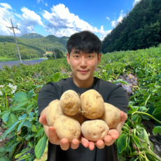 감자20kg-추천-상품