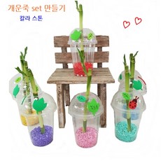 트리앤 개운죽 테이블야자 행운목 마리모 식물 키우기 set, 3-8. 개운죽 색돌 오색 1개
