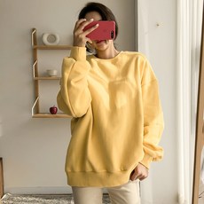 포근양의심법강의